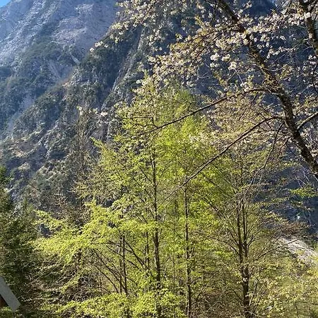 Ferienhaus Zadnjica House *